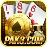 PAK3 Game