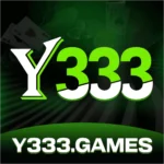 Y333 Game