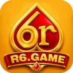 6R Game