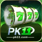 PK11 Game App