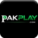 PlayPAK Game